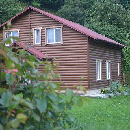 Pid Lisochkom Verkhovyna Exterior photo