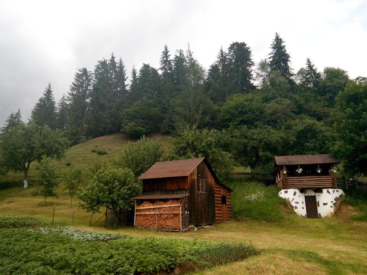 Pid Lisochkom Verkhovyna Exterior photo